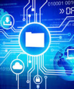 custom databases compiled